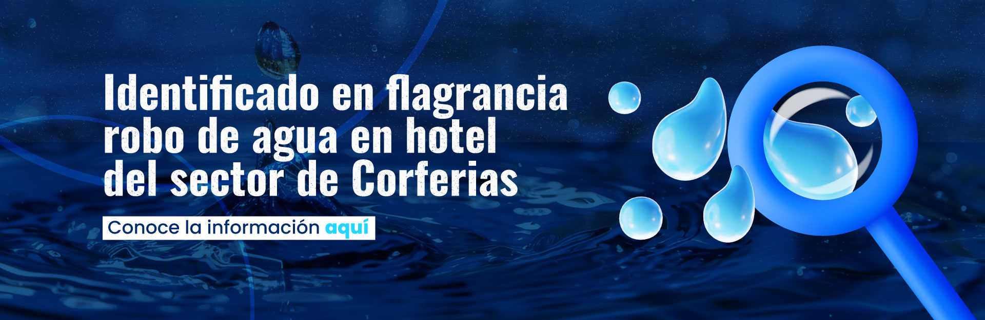Boletines