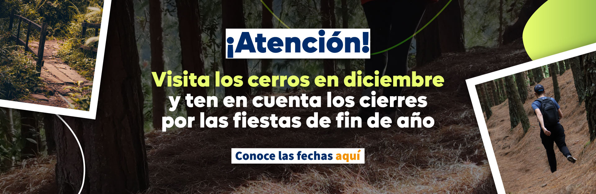 Boletines