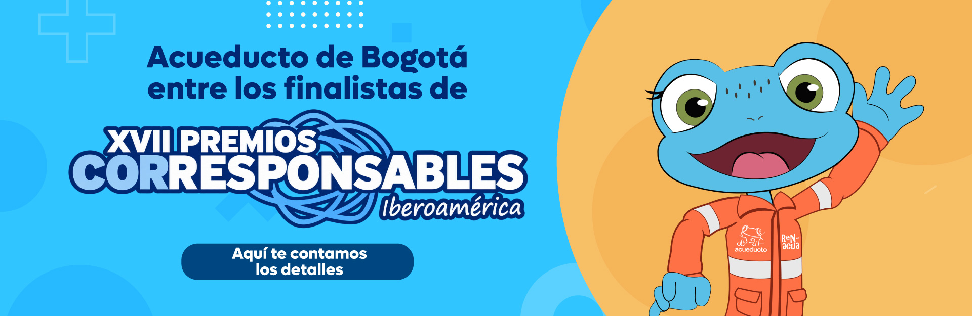 Boletines