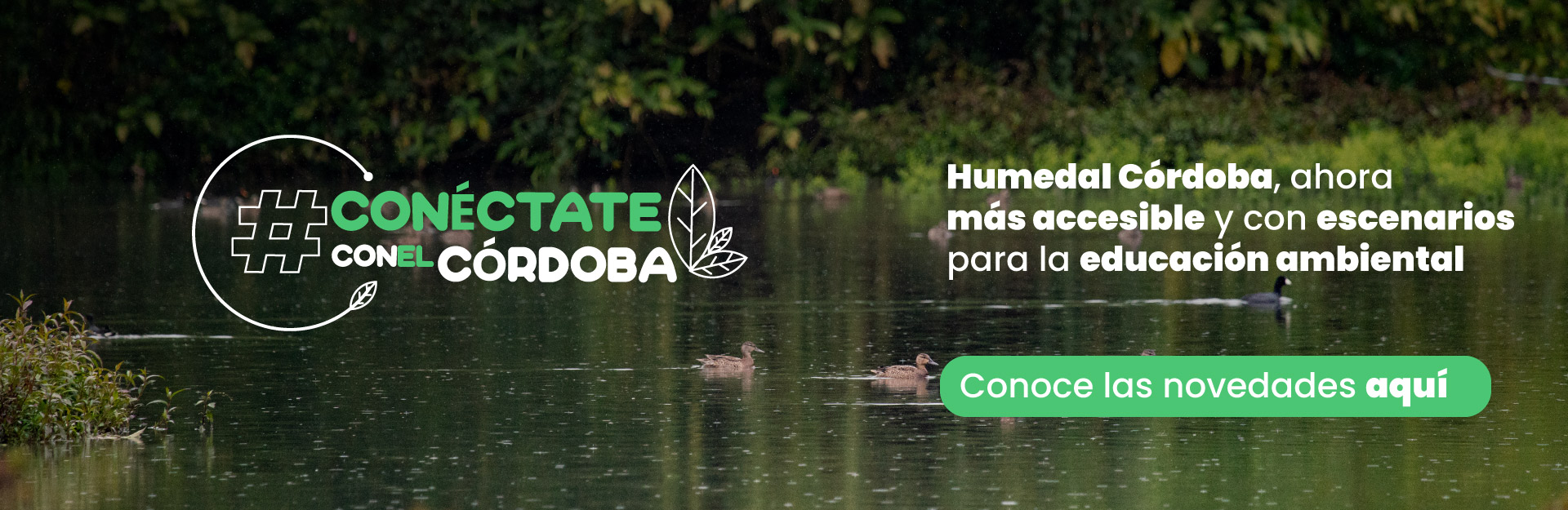 Humedal Córdoba, ahora más accesible y con escenarios para la educación ambiental
