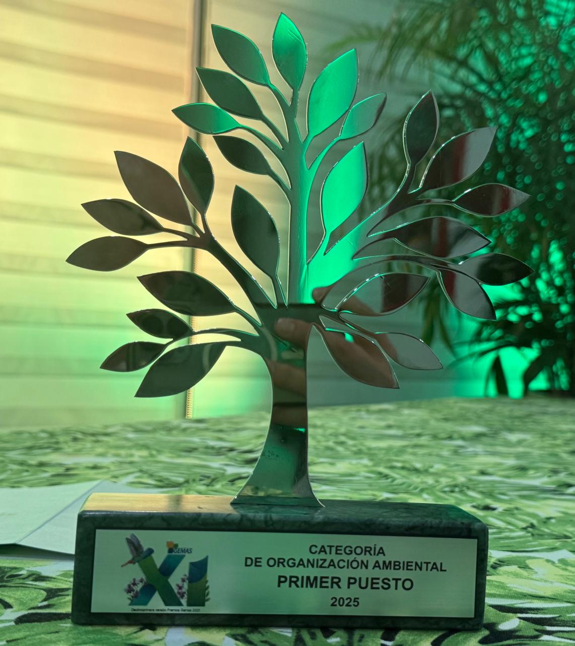 Premio Gemas 2025 Premio Gemas 2025