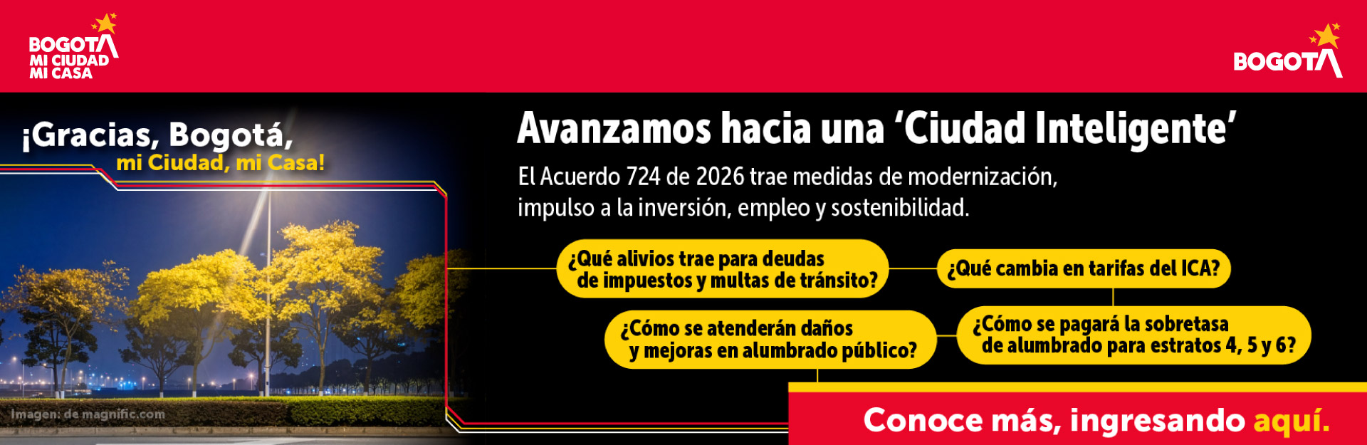 Boletines